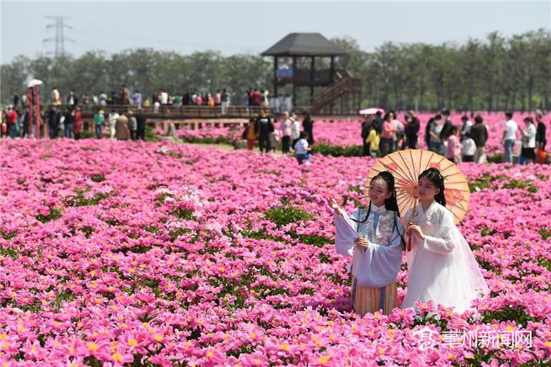 分步详解如何关联您的身份