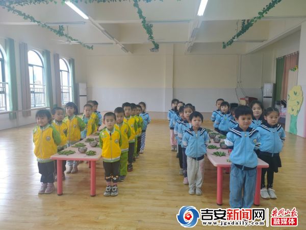 幼儿园生活劳动教育教案