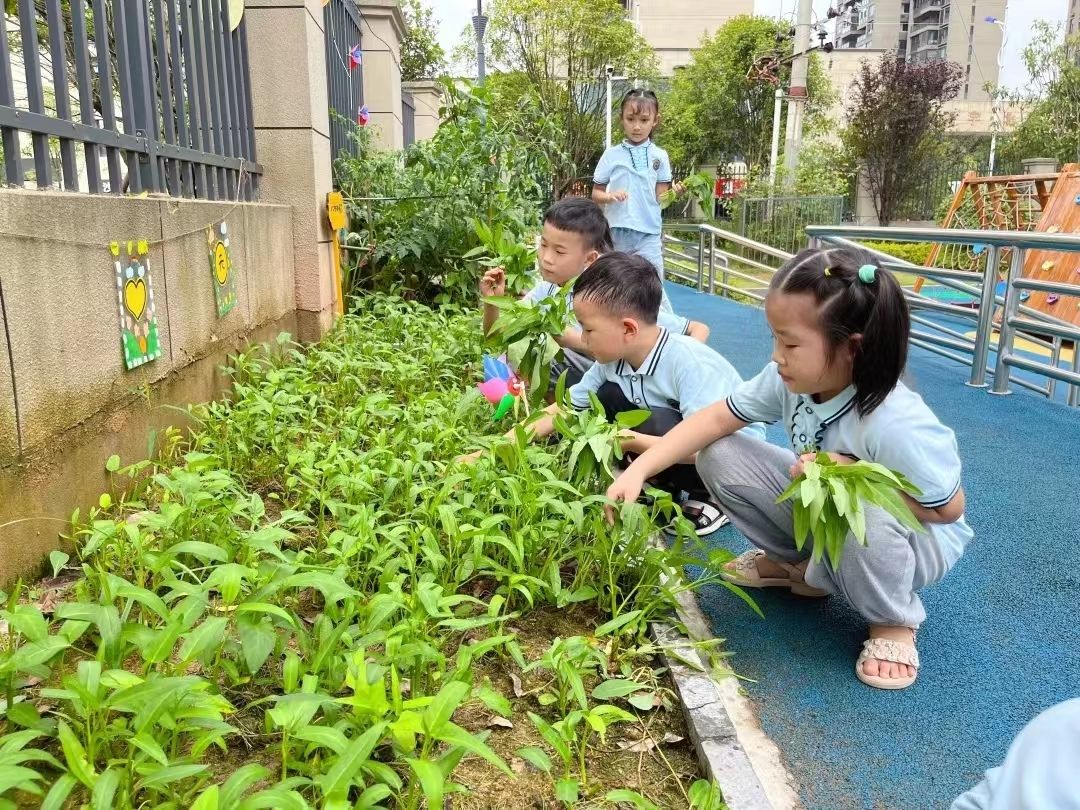 幼儿园大班肥胖的教案及反思