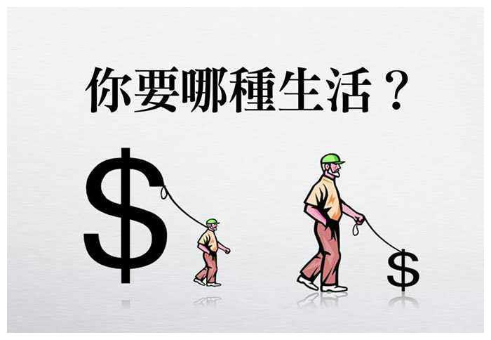 金钱与肥壮哪个更关键的英语作文