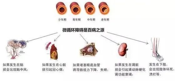 关于脊柱是健康之本