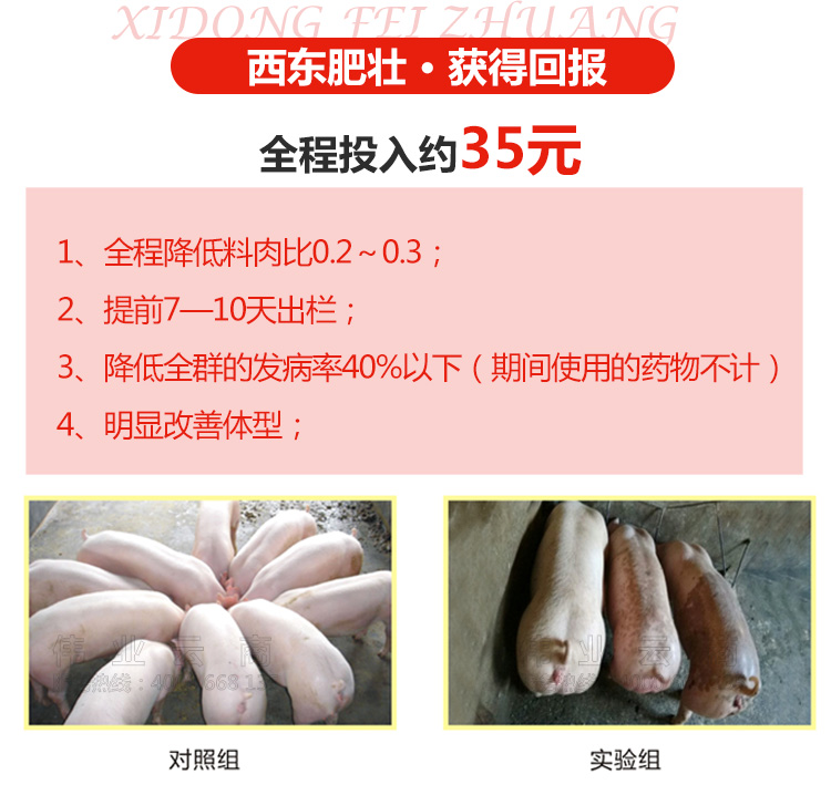 有创意的肥壮行业名字