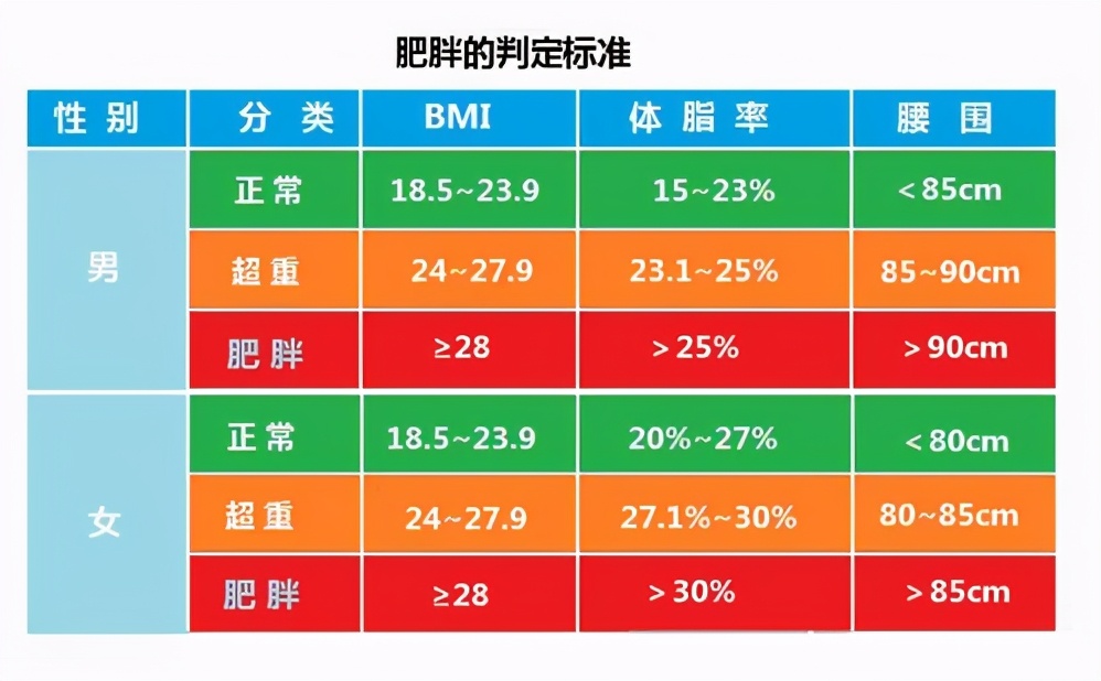 国内肥壮规范有哪些