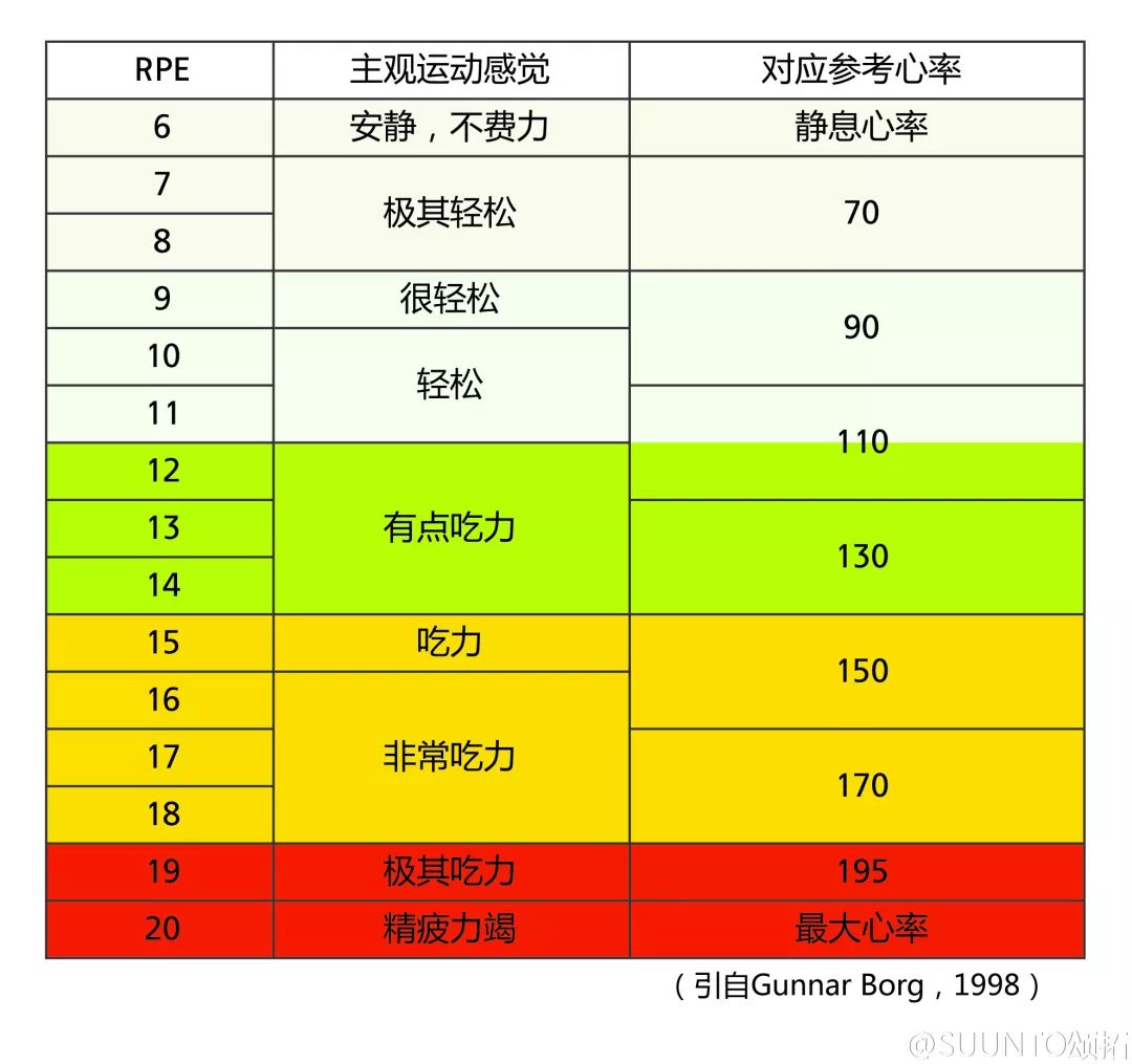 自动心率记录仪