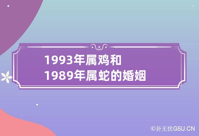 1994年属什么