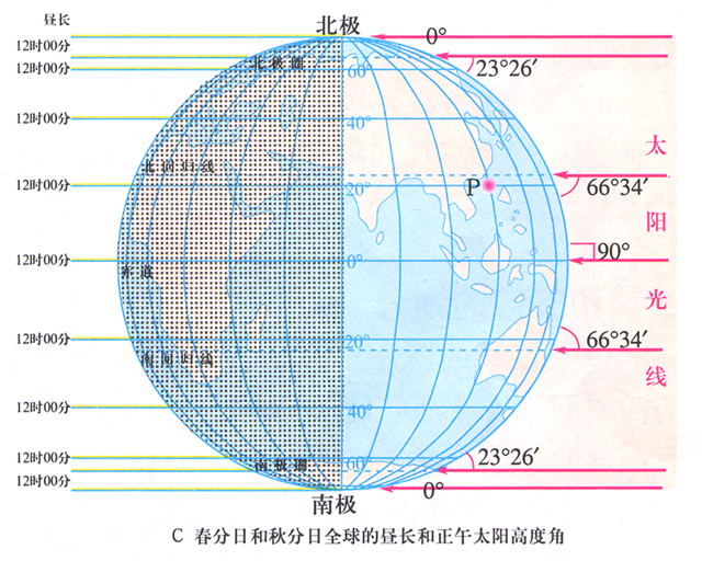 万物生发