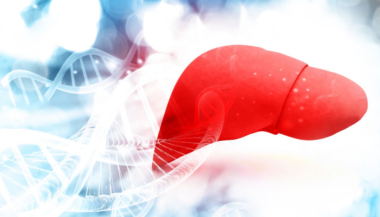 肝脏健康之选有哪些