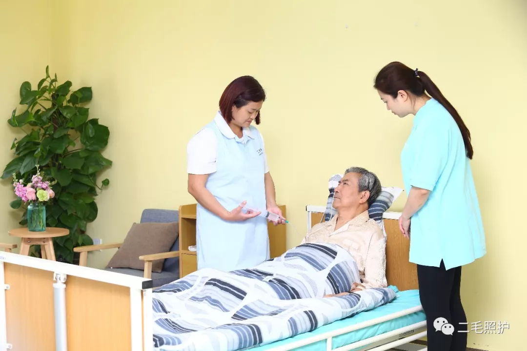 维持患者营养与健康的指南