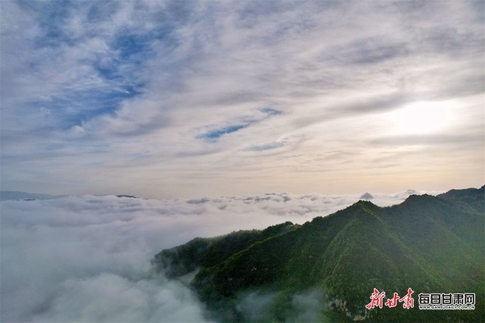 甘肃兰州至茂名疫情出行最新规定