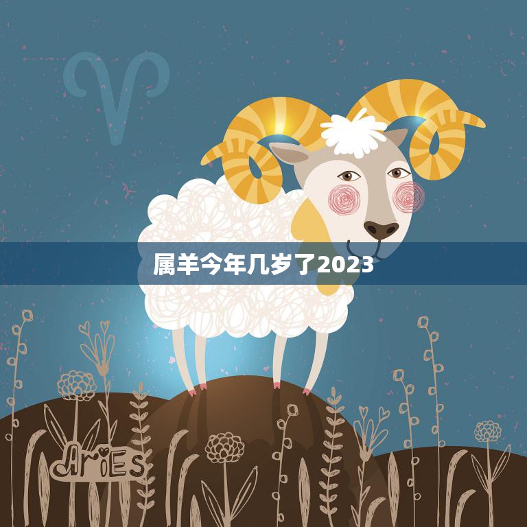 生肖羊2024年年龄查询