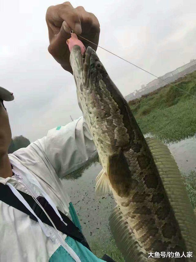 春季浅滩钓鱼技巧