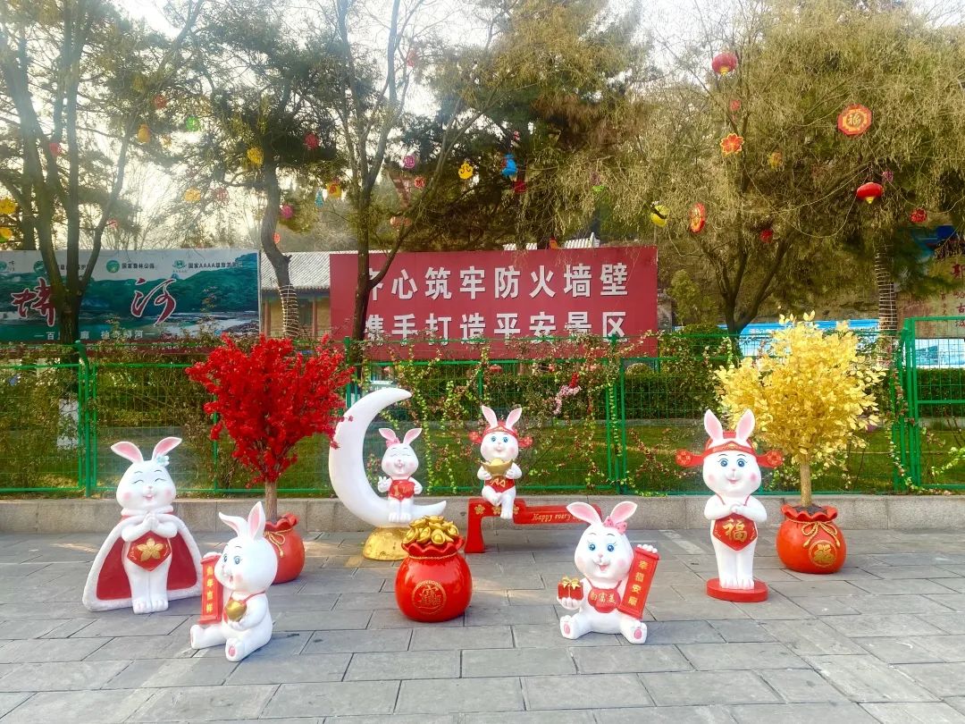 各个中央过春节的习俗