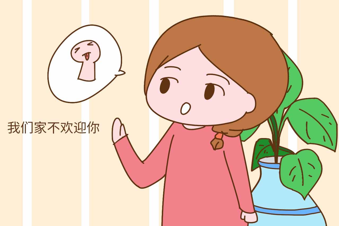 不要那些有几朵花