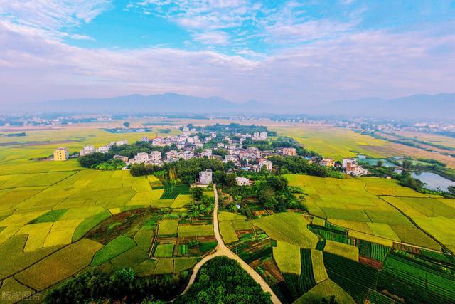 广西平南县有多少人口