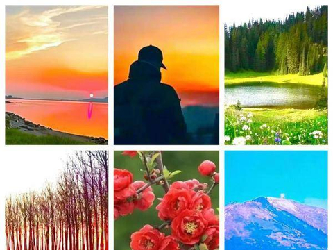 一天一句心情语