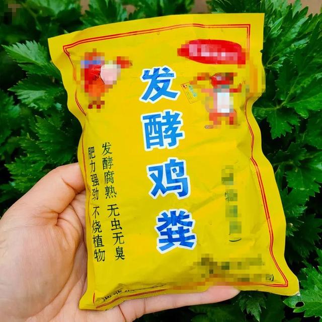 对于给好友肥壮的祝愿语