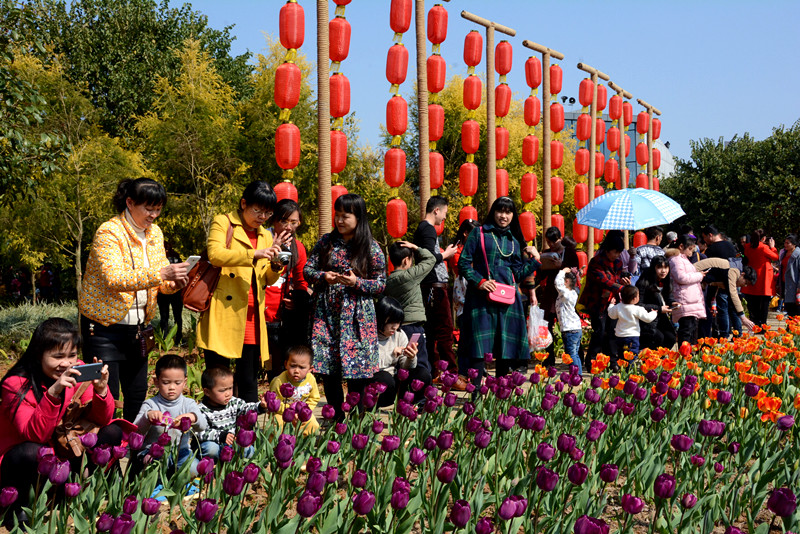 2016年春节天气预告