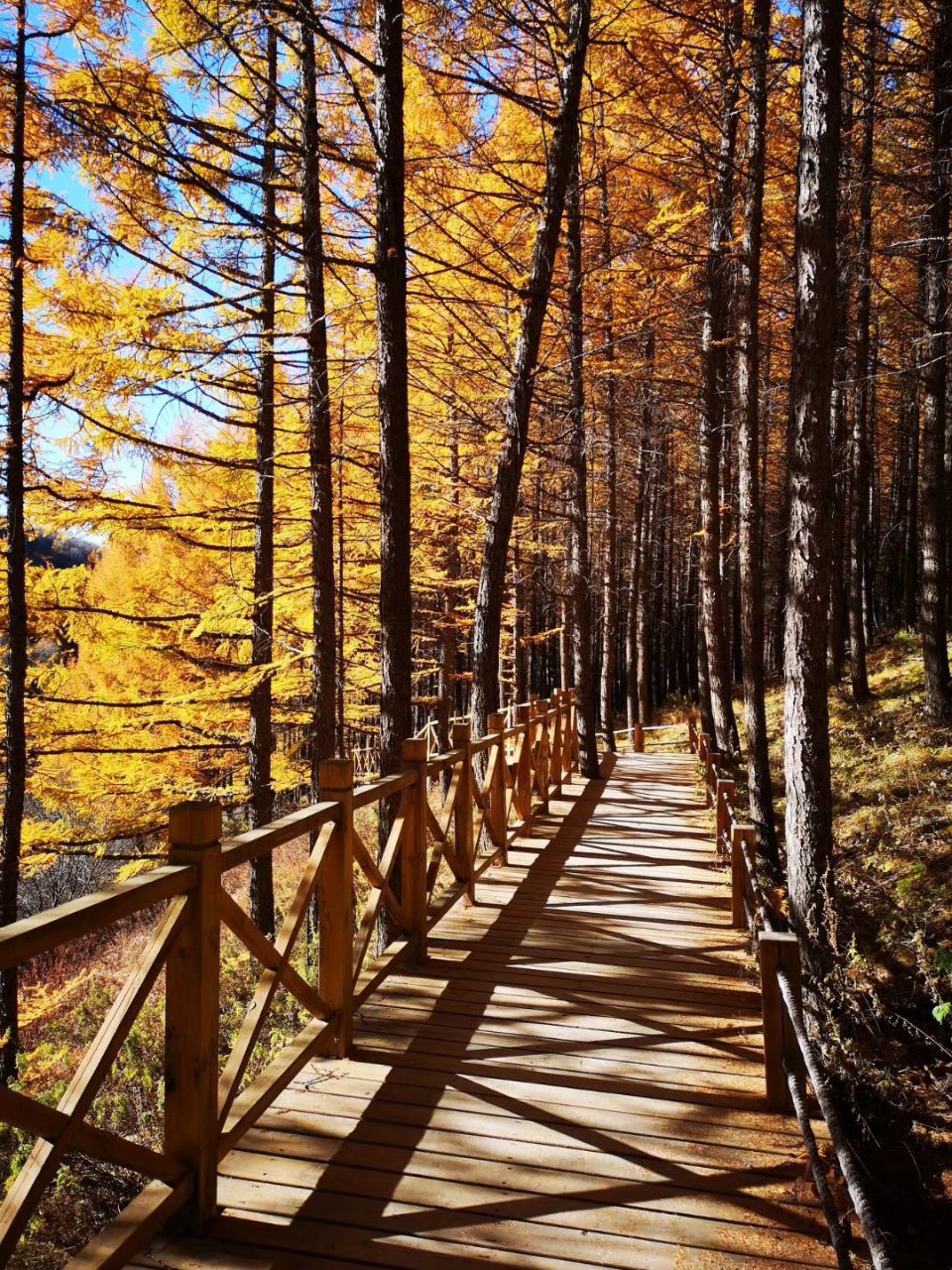 白山二道白河镇