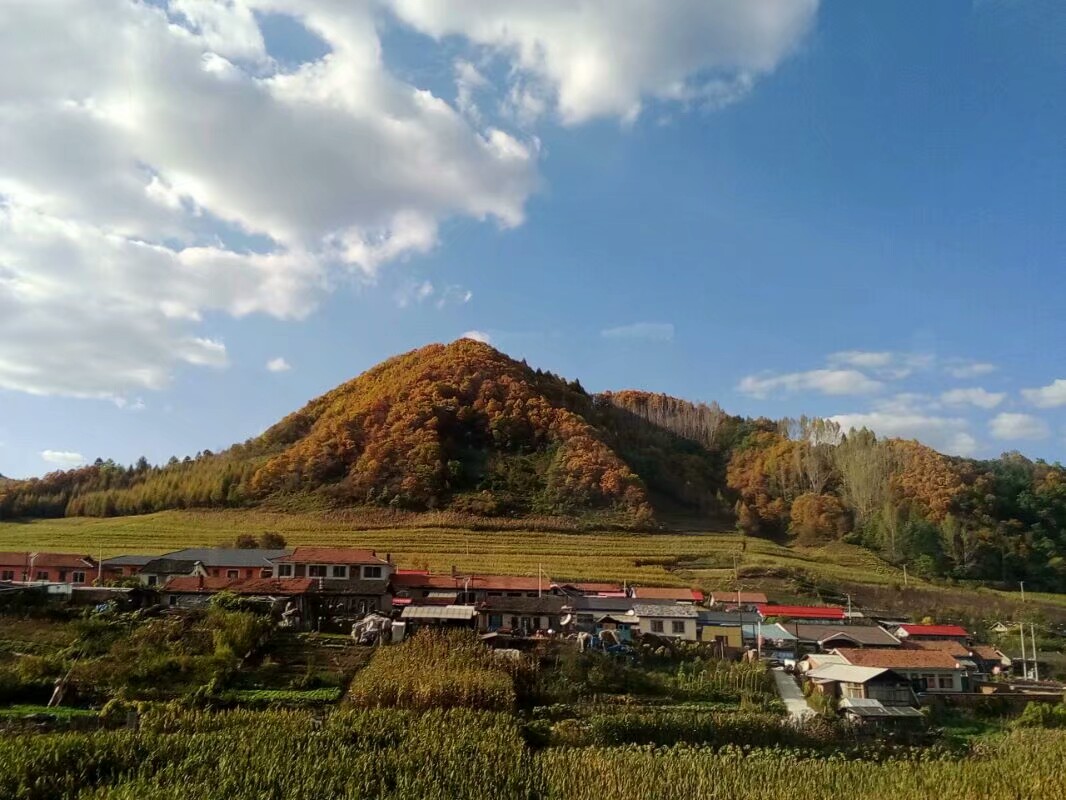 请问二道白河人客运站能干黄吗