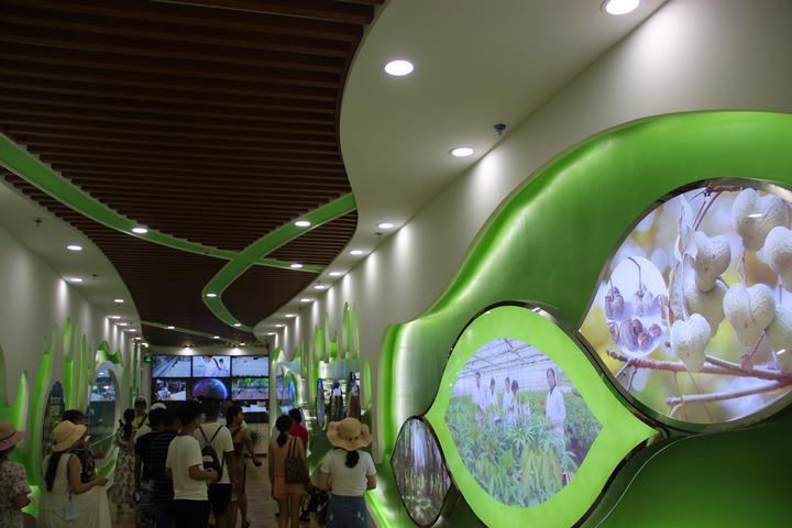 三亚的路好开吗