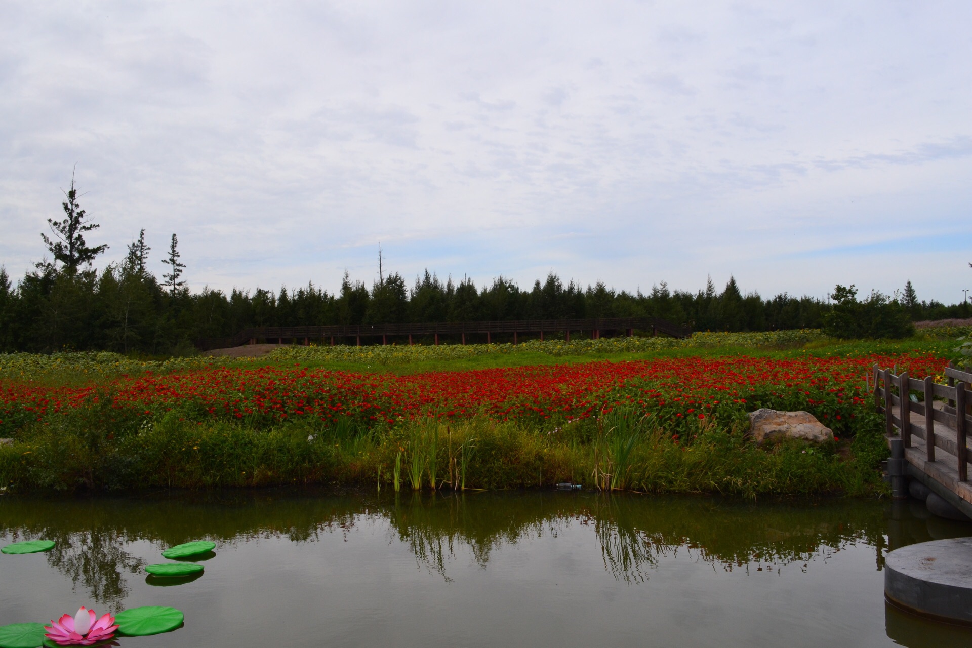 二道白河小镇全景图