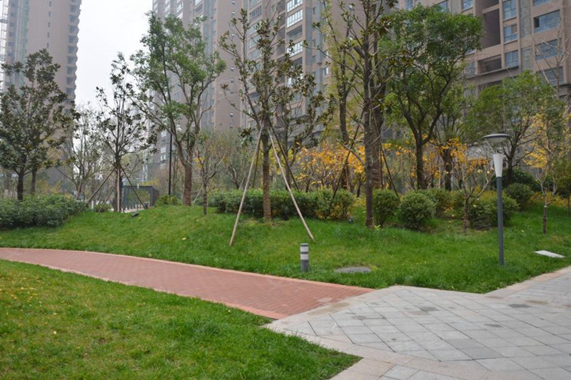 在哪个中央住比拟繁难呢