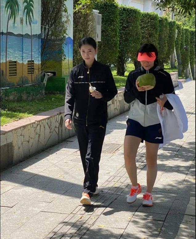 咱们海南原产的外乡水果有哪些呀