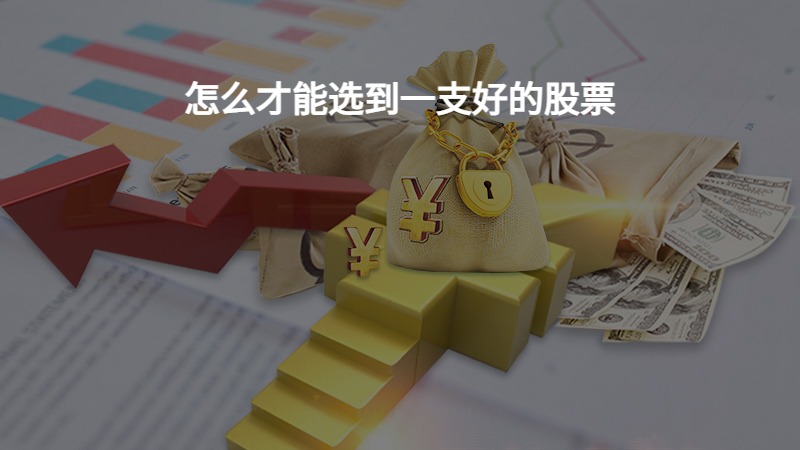 好的股票介绍一支