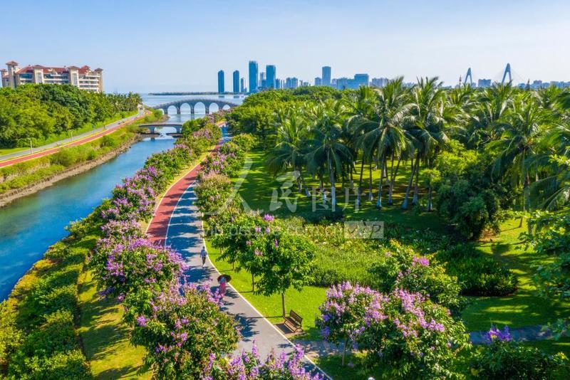 去海南省海口市飞机票多少钱