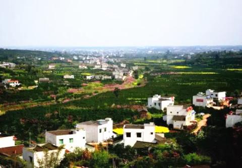 丹棱的有哪些小吃