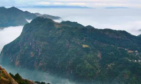 有谁知道温州的美食一条街在哪