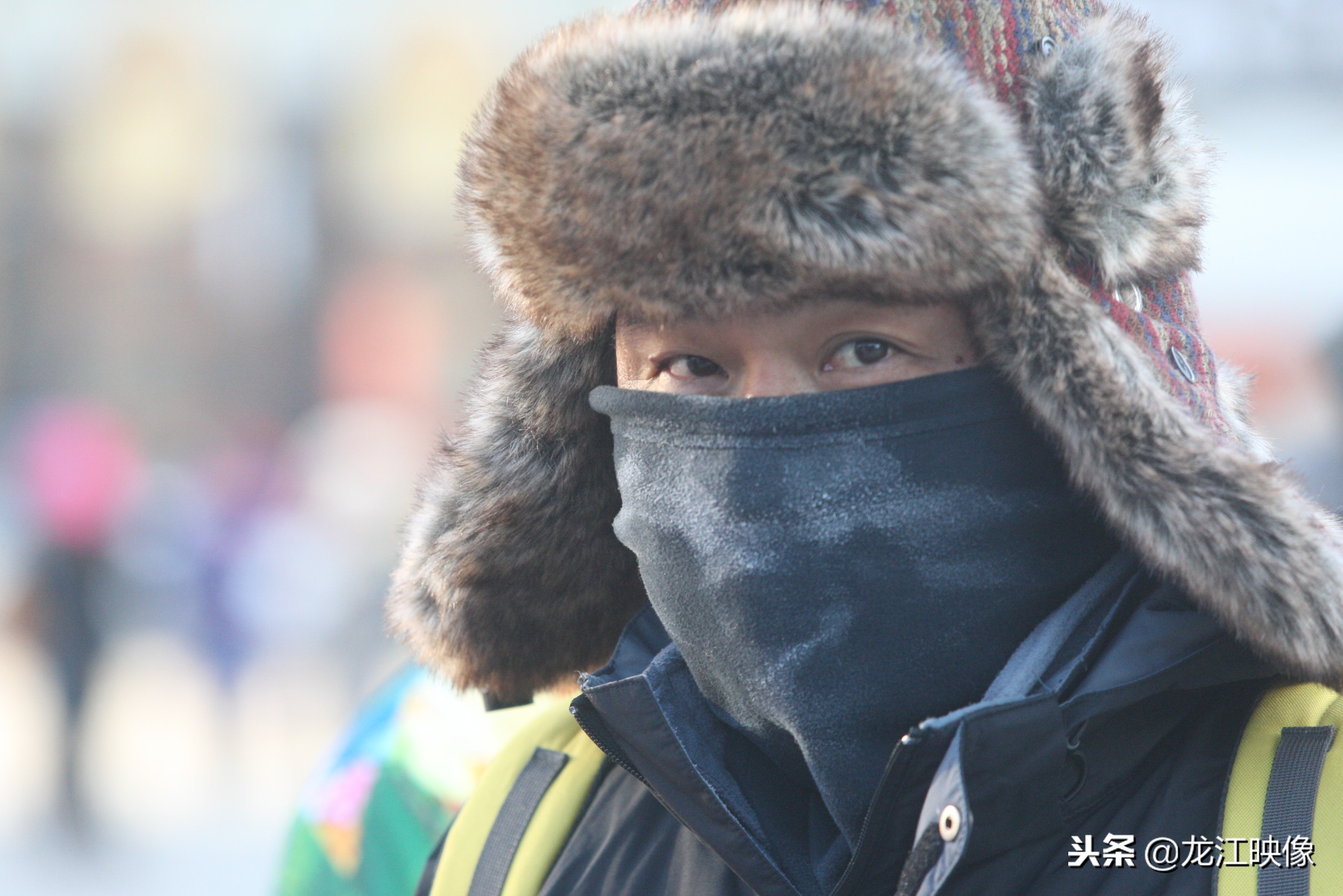 哈尔滨这几个景点半天能玩完吗