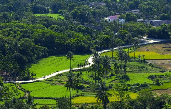 海南定安有什么旅游景点
