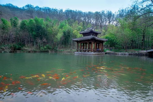 滁州有什么好吃的小吃