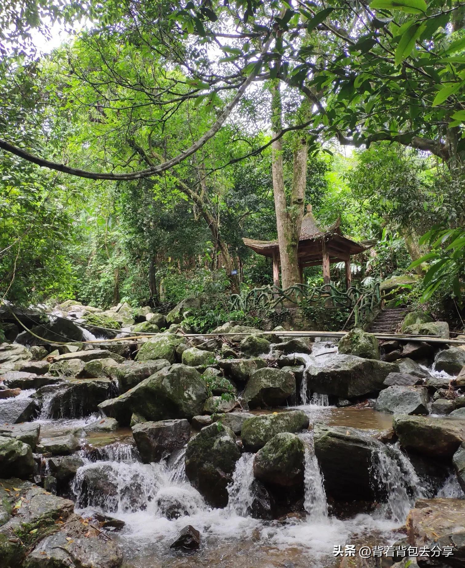 海南有什么好大学